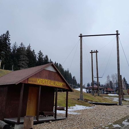 Wellness Haven: Luxurious Spa Apartment with Gaming & Gourmet Breakfast Harrachov Exterior photo