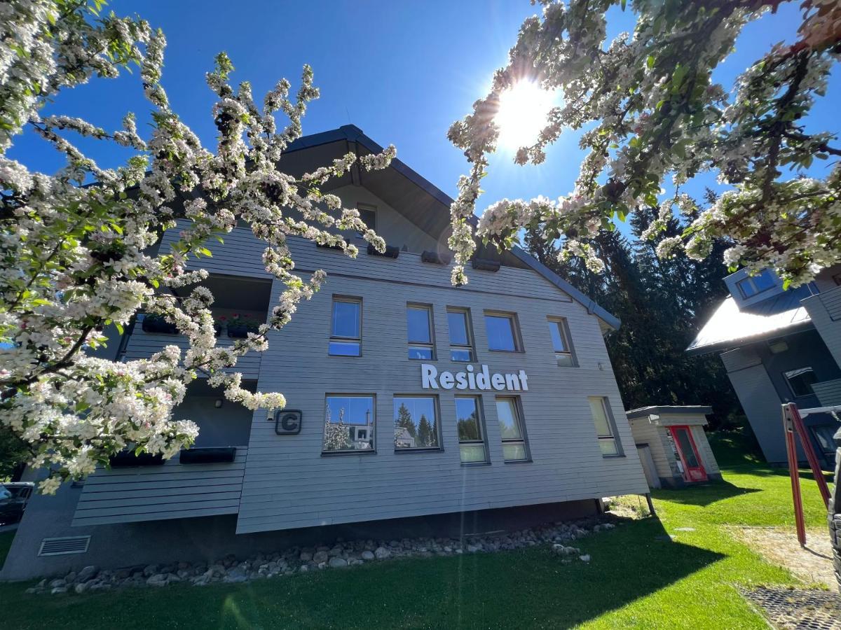 Wellness Haven: Luxurious Spa Apartment with Gaming & Gourmet Breakfast Harrachov Exterior photo