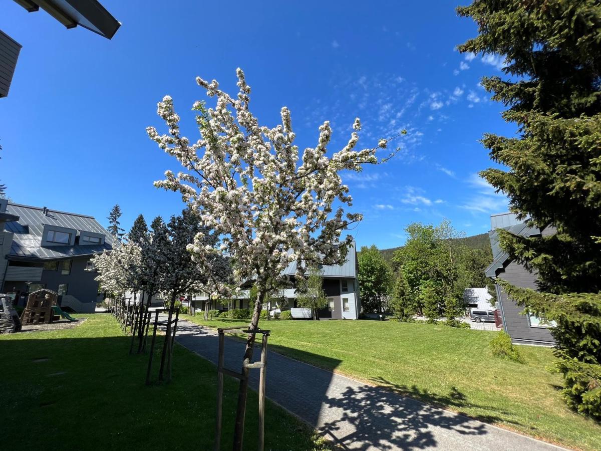 Wellness Haven: Luxurious Spa Apartment with Gaming & Gourmet Breakfast Harrachov Exterior photo